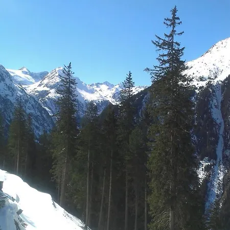 Ofer Thomas & Michaela