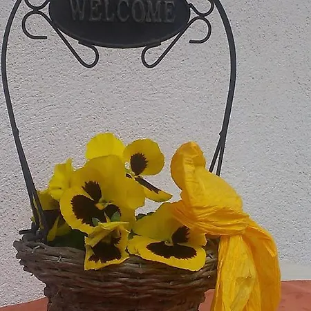 Ofer Thomas & Michaela アパート ノイシュティフト・イム・シュトゥーバイタール