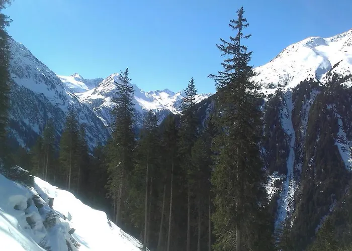 Ofer Thomas & Michaela