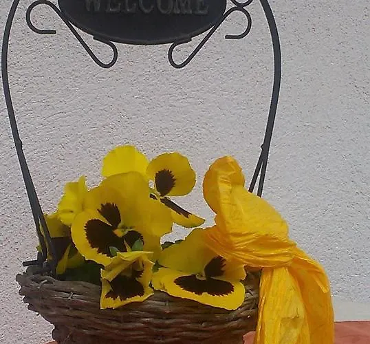 Ofer Thomas & Michaela Apartment Neustift im Stubaital